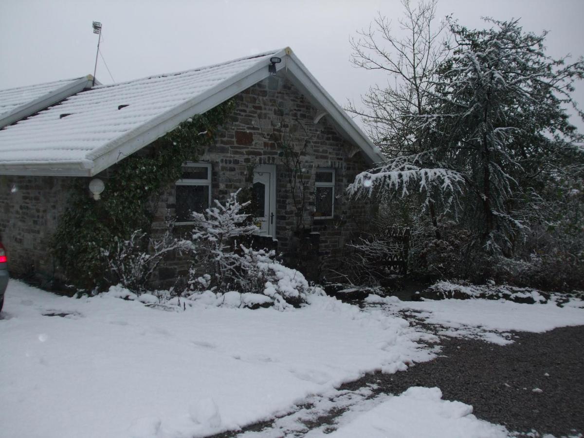 Cwmbach Guest House Ніт Екстер'єр фото