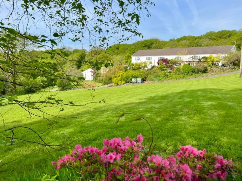 Cwmbach Guest House Ніт Номер фото