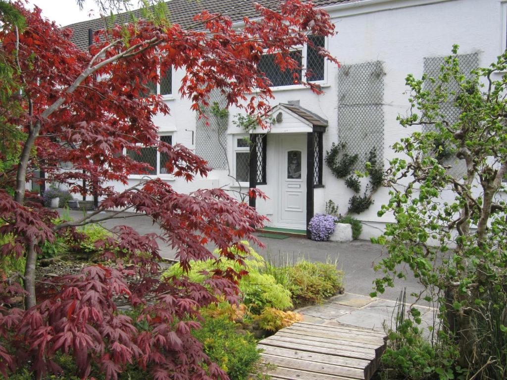 Cwmbach Guest House Ніт Екстер'єр фото